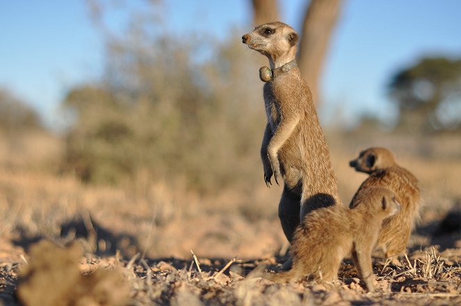 Planet Earth Live - Photos