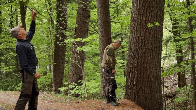Forest Code - Van film