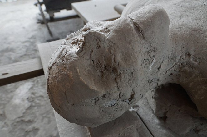 Pompeii: The Mystery of the People Frozen in Time - Filmfotos