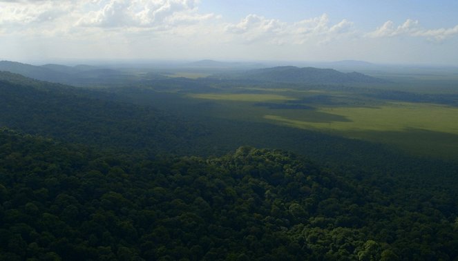 Reinventing Forests - Guyane, l’eldorado vert - Photos