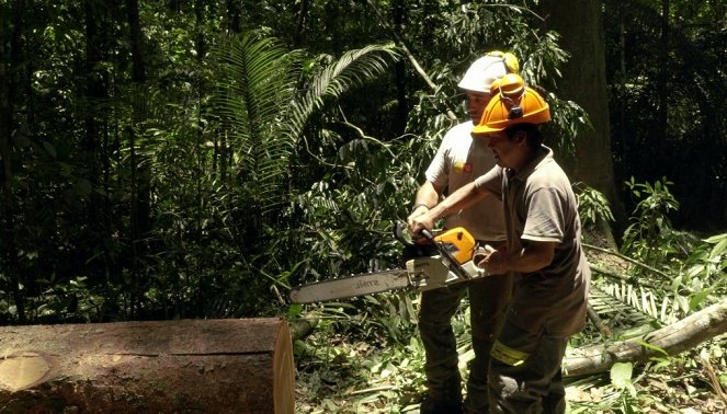 À la reconquête des forêts - Guyane, l’eldorado vert - De la película