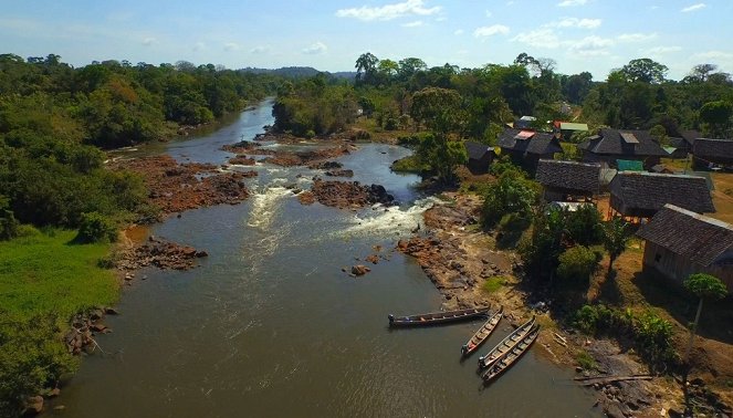 À la reconquête des forêts - Guyane, l’eldorado vert - Kuvat elokuvasta