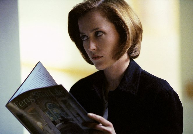 The X-Files - All Things - Photos - Gillian Anderson
