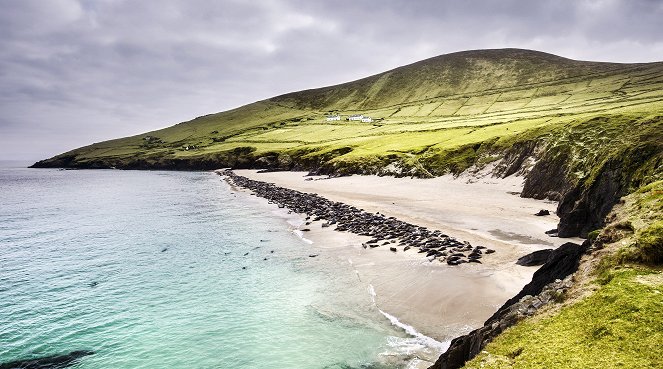 Universum: Wildes Irland - Ungezähmte Insel am Rande Europas - Filmfotos