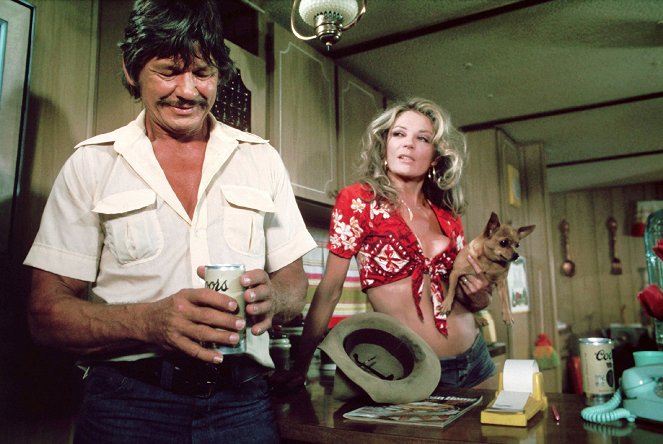 Breakout - Van film - Charles Bronson