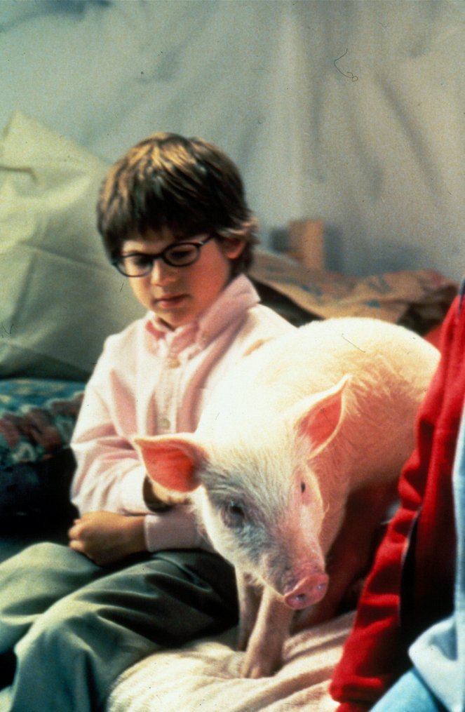 My Brother the Pig - Z filmu