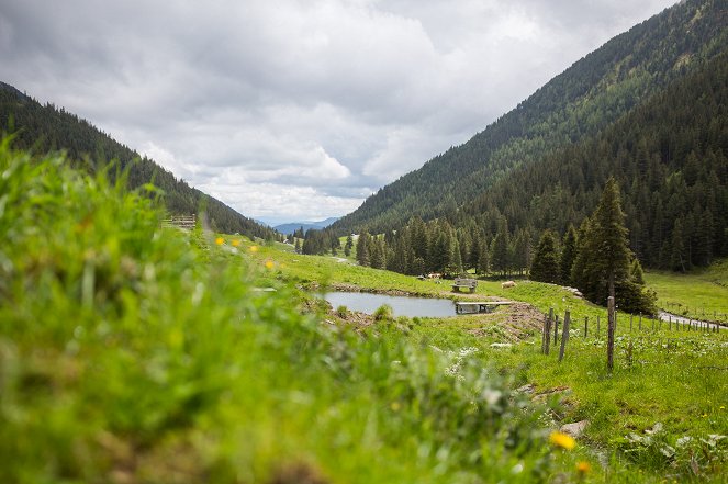 Bergwelten - In den Bergen des Murtals - Kuvat elokuvasta