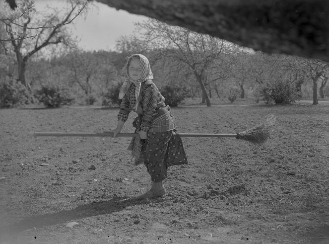 Gubben kommer - Filmfotos - Gun-Mari Kjellström