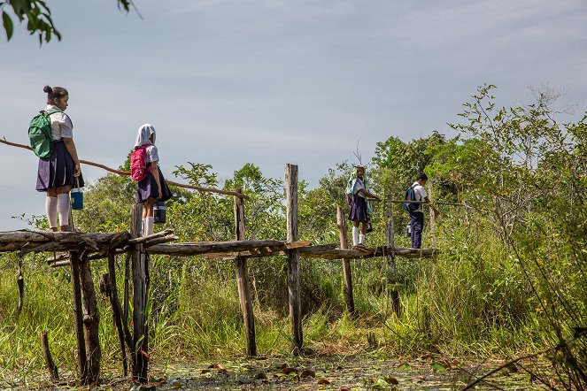 Chemins d'école, chemins de tous les dangers - Kolumbien - Photos