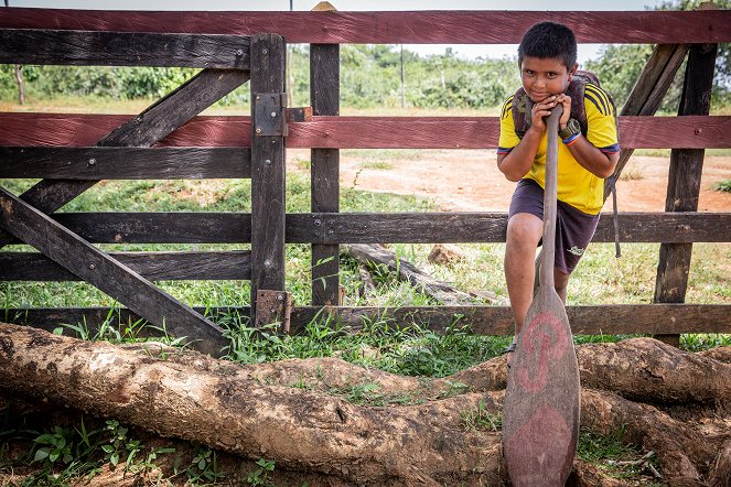 Chemins d'école, chemins de tous les dangers - Kolumbien - Photos