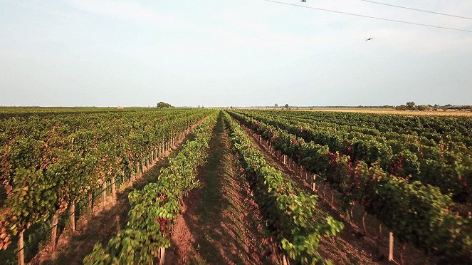 Der Kurier des Kaisers - Burgenland for sale! - Van film