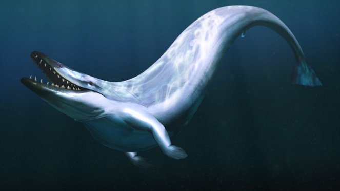 When Whales Walked: Journeys in Deep Time - De filmes