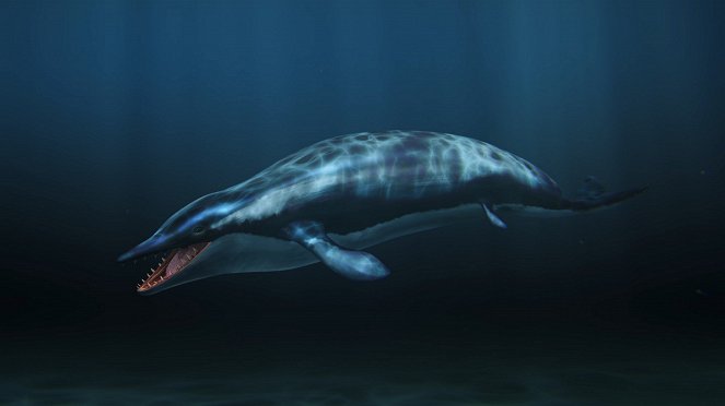 When Whales Walked: Journeys in Deep Time - De la película