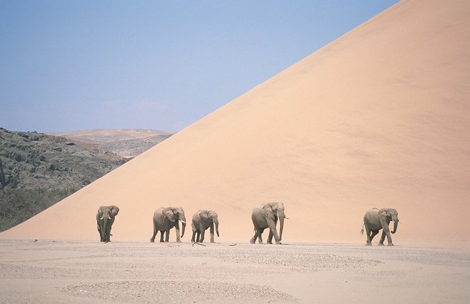 Bolygónk, a Föld - Sivatagok - Filmfotók