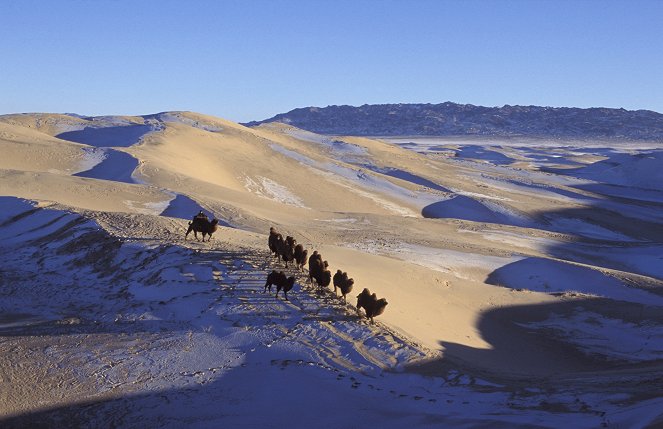 Bolygónk, a Föld - Season 1 - Sivatagok - Filmfotók