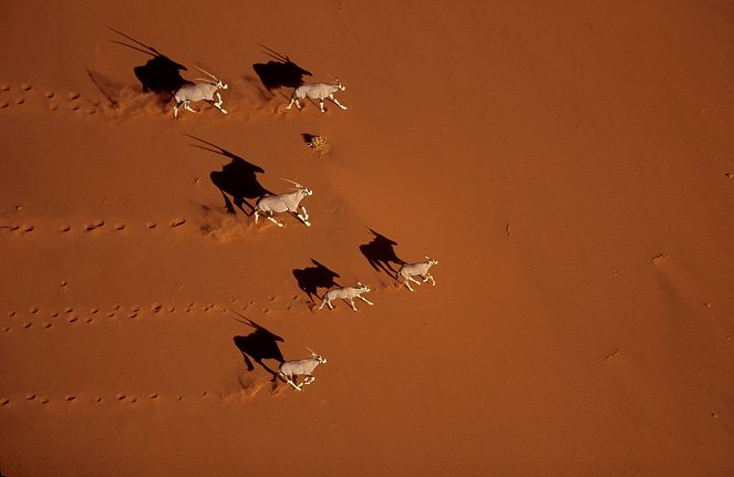 Bolygónk, a Föld - Season 1 - Sivatagok - Filmfotók