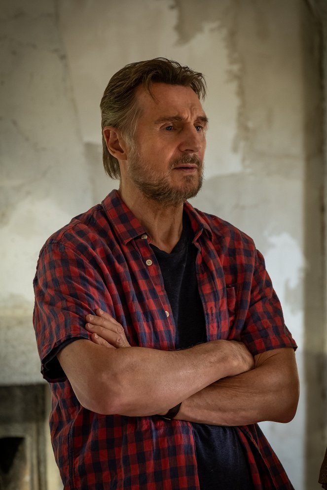 Made in Italy - Photos - Liam Neeson