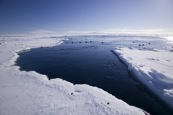 Planet Earth - Ice Worlds - Photos