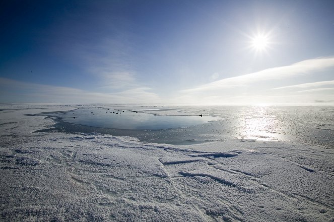Planet Erde - Season 1 - Ice Worlds - Filmfotos