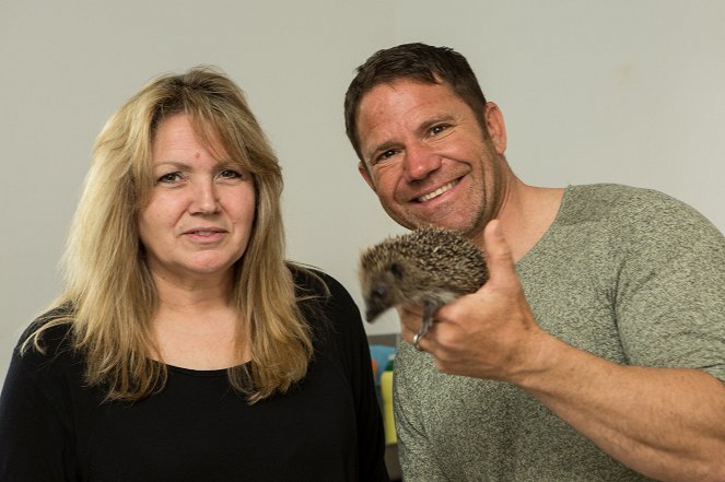 Meet the Hedgehogs - Photos