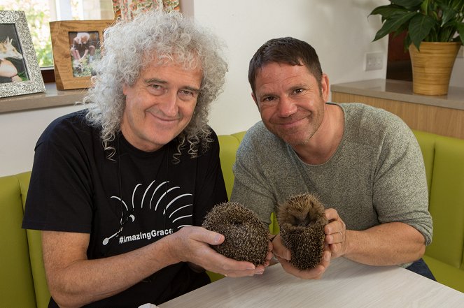 Meet the Hedgehogs - Photos