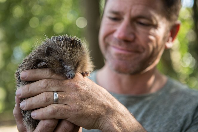 Meet the Hedgehogs - Filmfotos