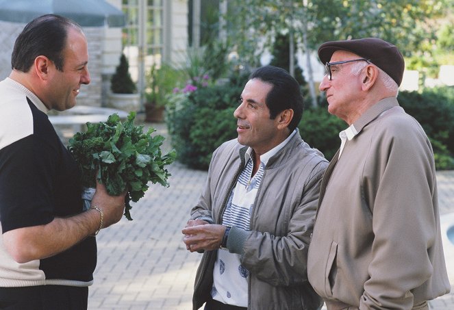 Sopranos, The - Season 2 - Mies kaipaa terapiaa - Kuvat elokuvasta - James Gandolfini, Dominic Chianese