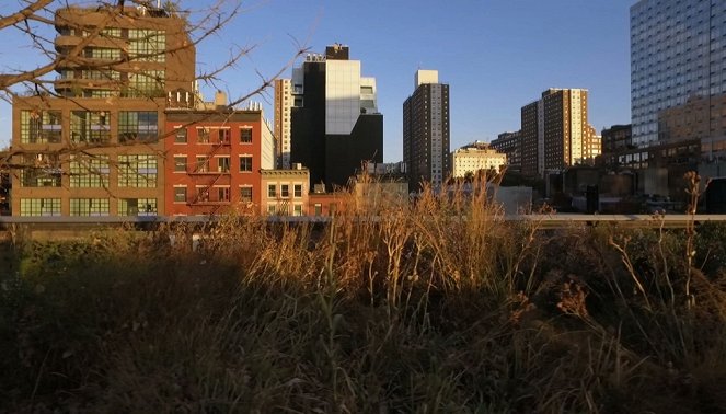 Étonnants Jardins - Les Jardins suspendus de la High Line - Photos