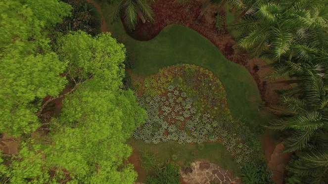 Erstaunliche Gärten - Der Dschungelgarten Inhotim in Brasilien - Filmfotos