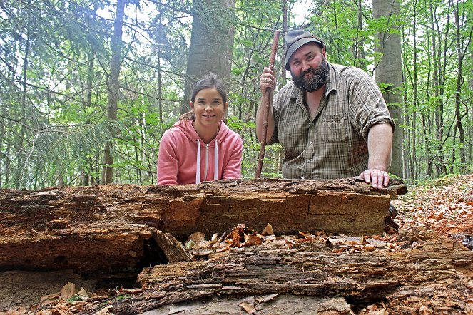 Anna und der wilde Wald - Wo sind die Steinmarder? - Werbefoto