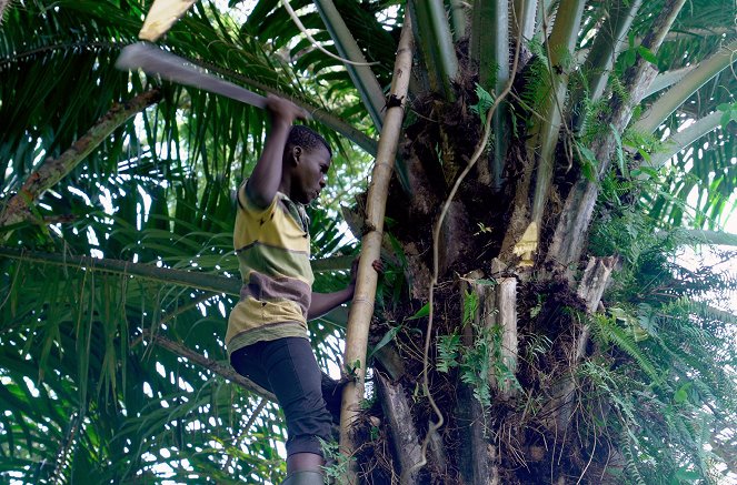 Mon beau village : Togo - Z filmu