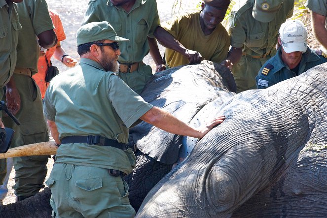 Mosambiks Kriegselefanten - Filmfotos