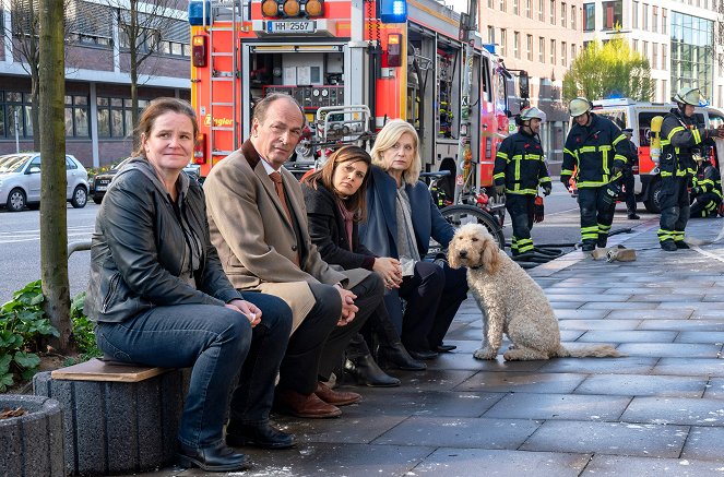 Die Kanzlei - Season 5 - Feuer und Flamme - Z filmu