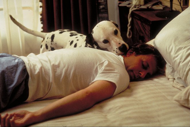 Les 101 Dalmatiens - Film - Jeff Daniels
