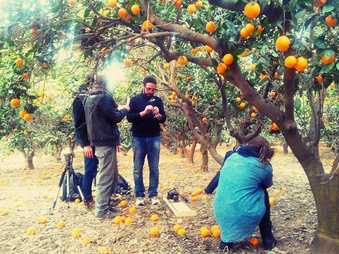 Orange Trees - Kuvat kuvauksista