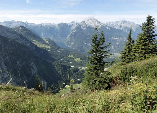 Traumziele in Bayern - Berge, Seen und wilder Wald - Z filmu