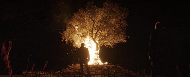 Nuh Tepesi - Do filme