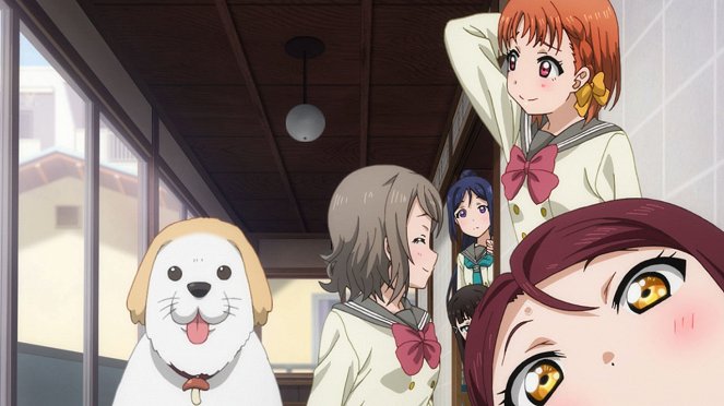 Love Live! Sunshine!! - Taking in a Dog. - Photos