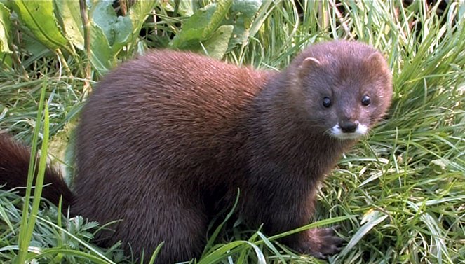 Das Emsland - Niedersachsens wilder Westen - Photos