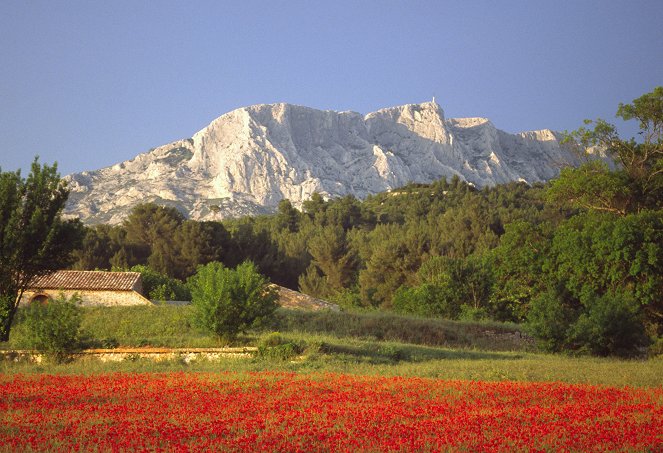 Der Duft der Provence - Trüffelhunde und Lavendel - Filmfotos
