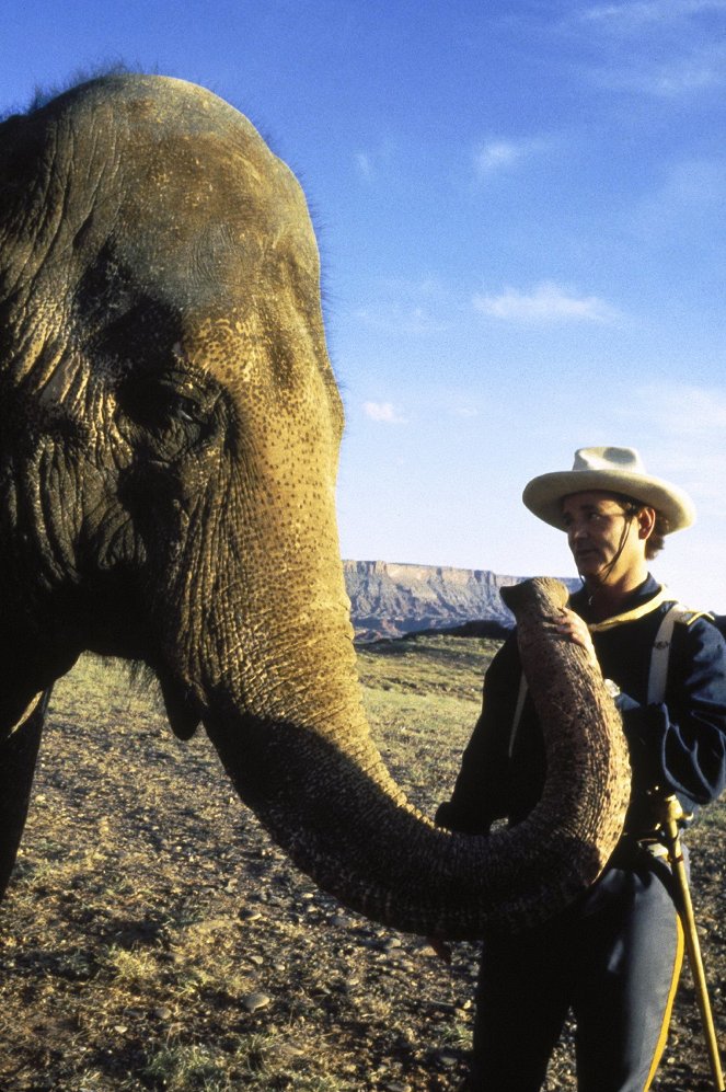 Un elefante llamado Vera - De la película - Bill Murray