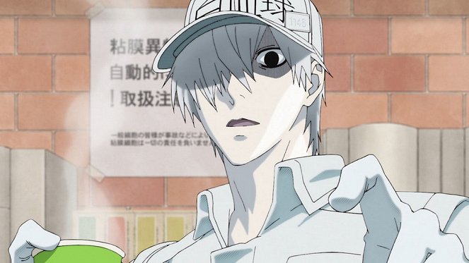 Cells at Work! - Photos