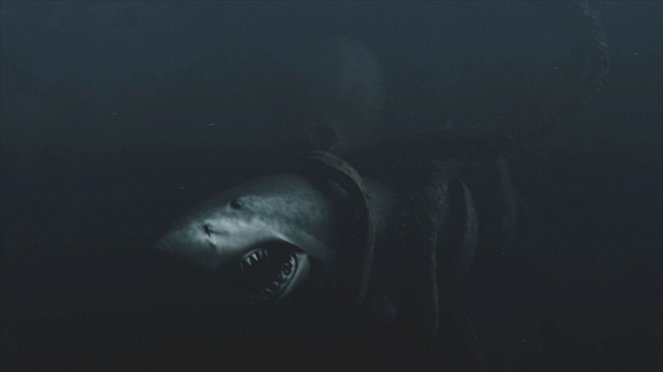 Gyilkos cápa vs. óriáspolip - Filmfotók