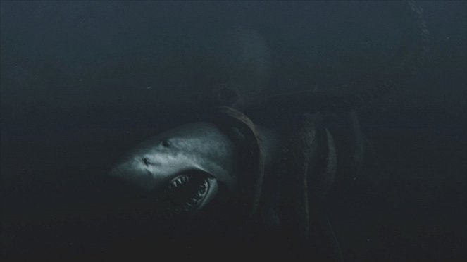 Mega Shark vs. Giant Octopus - Photos