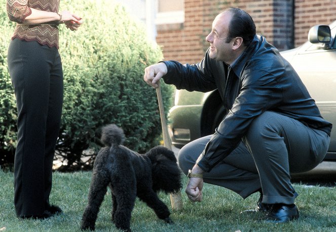 The Sopranos - Season 3 - Second Opinion - Van film - James Gandolfini