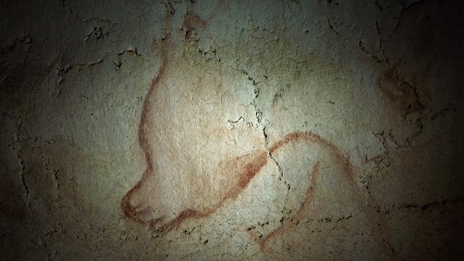 Steinzeit und Moderne - Die neue Grotte Chauvet - Filmfotos