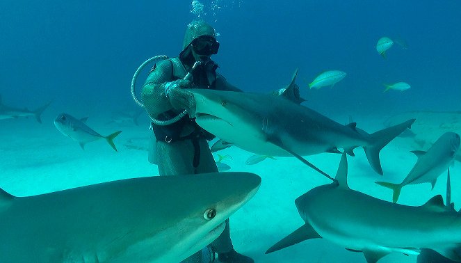 Neues aus der Hai-Society - Filmfotók