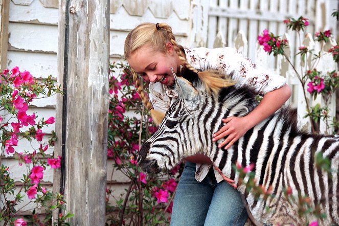 Veľký sen malej zebry - Z filmu - Hayden Panettiere