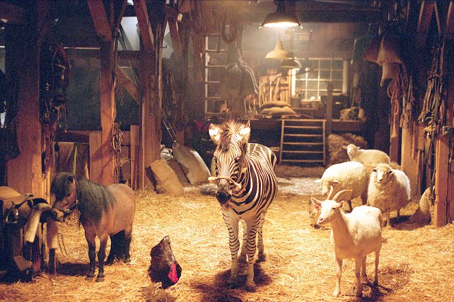 Veľký sen malej zebry - Z filmu