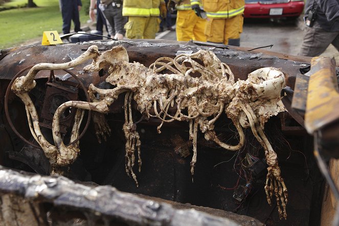 Bones - The Twisted Bones in the Melted Truck - Photos